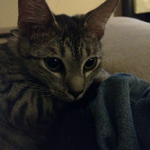 Meet your Posher, Jenna